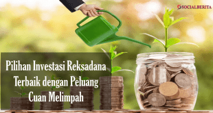 Pilihan Investasi Reksadana Terbaik dengan Peluang Cuan Melimpah